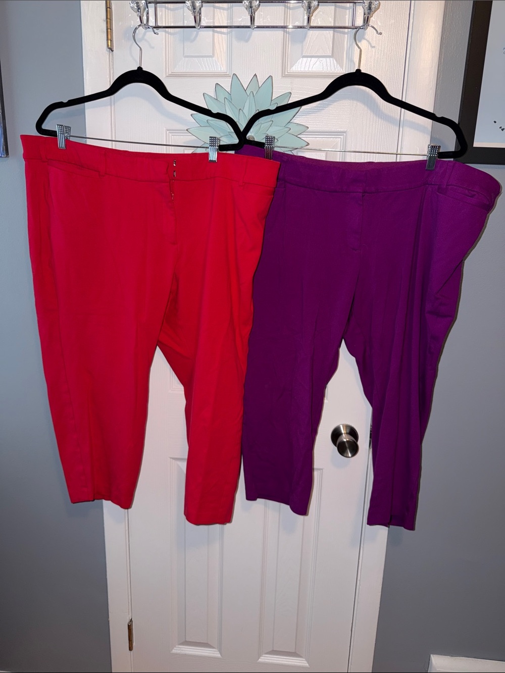 Set of 2 "Allie" Ankle Pants
